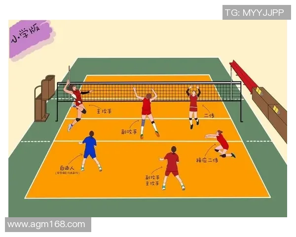 排球盛宴：深入剖析杭州排球队的战术与训练秘诀